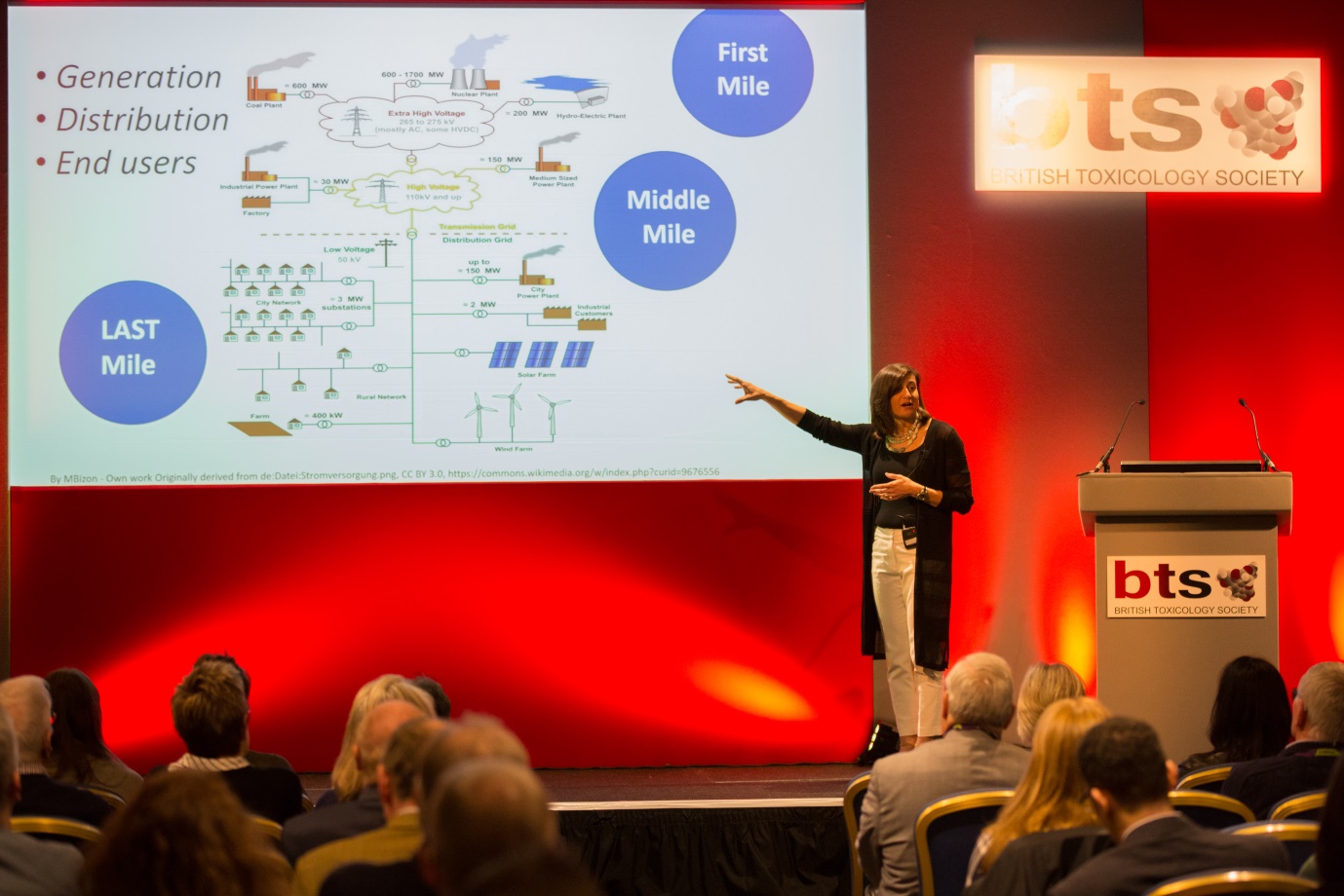 Syril Pettit delivers her plenary lecture at the BTS congress